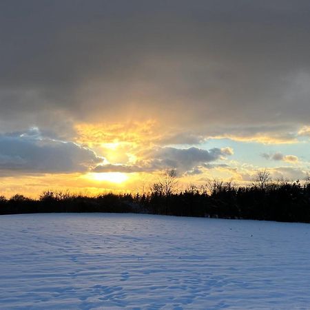 Kleine Auszeit Mit Aussicht Velbert Toenisheide Lejlighed Eksteriør billede