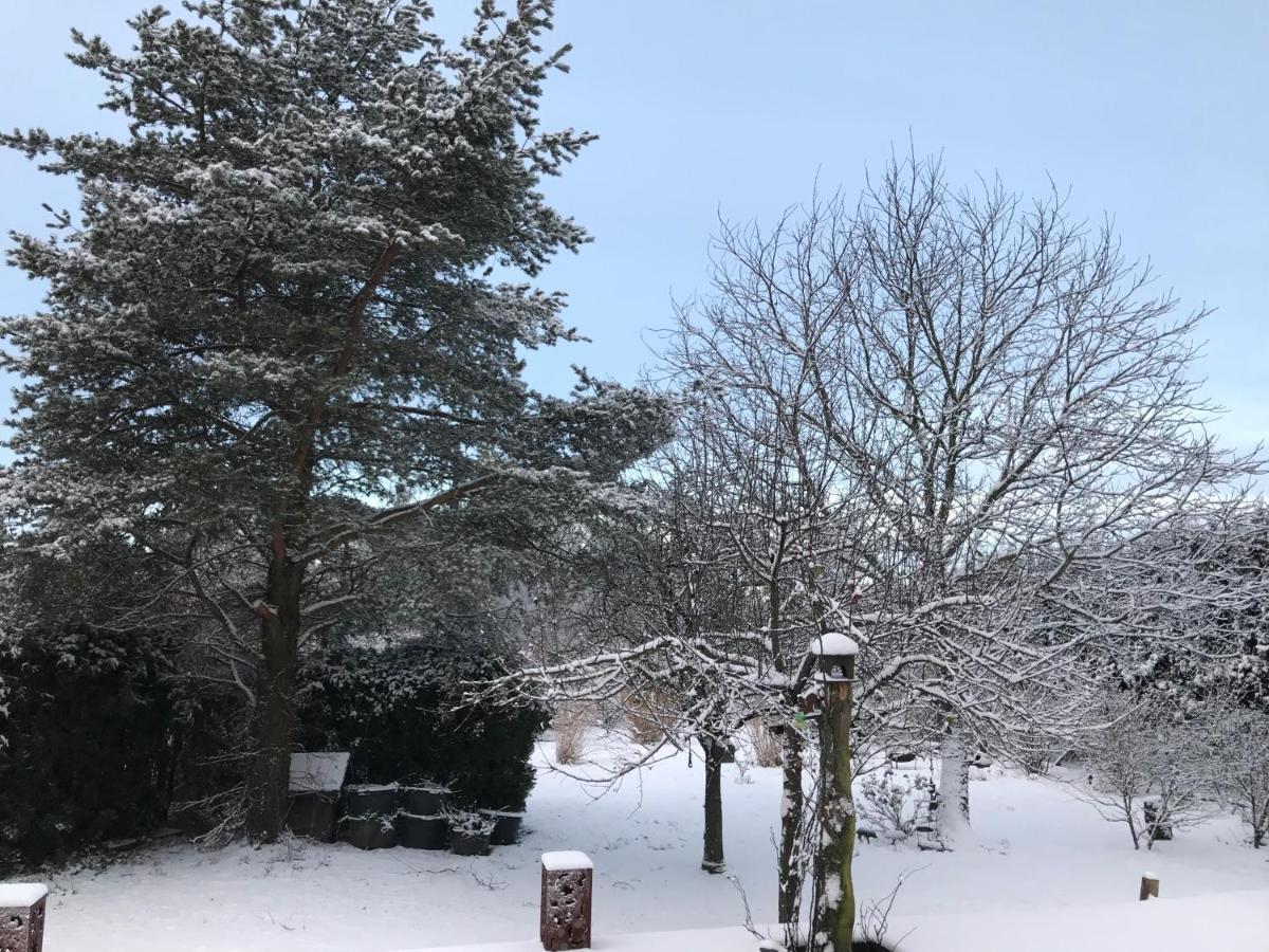 Kleine Auszeit Mit Aussicht Velbert Toenisheide Lejlighed Eksteriør billede