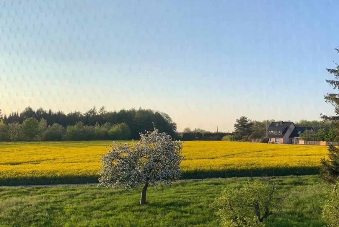 Kleine Auszeit Mit Aussicht Velbert Toenisheide Lejlighed Eksteriør billede